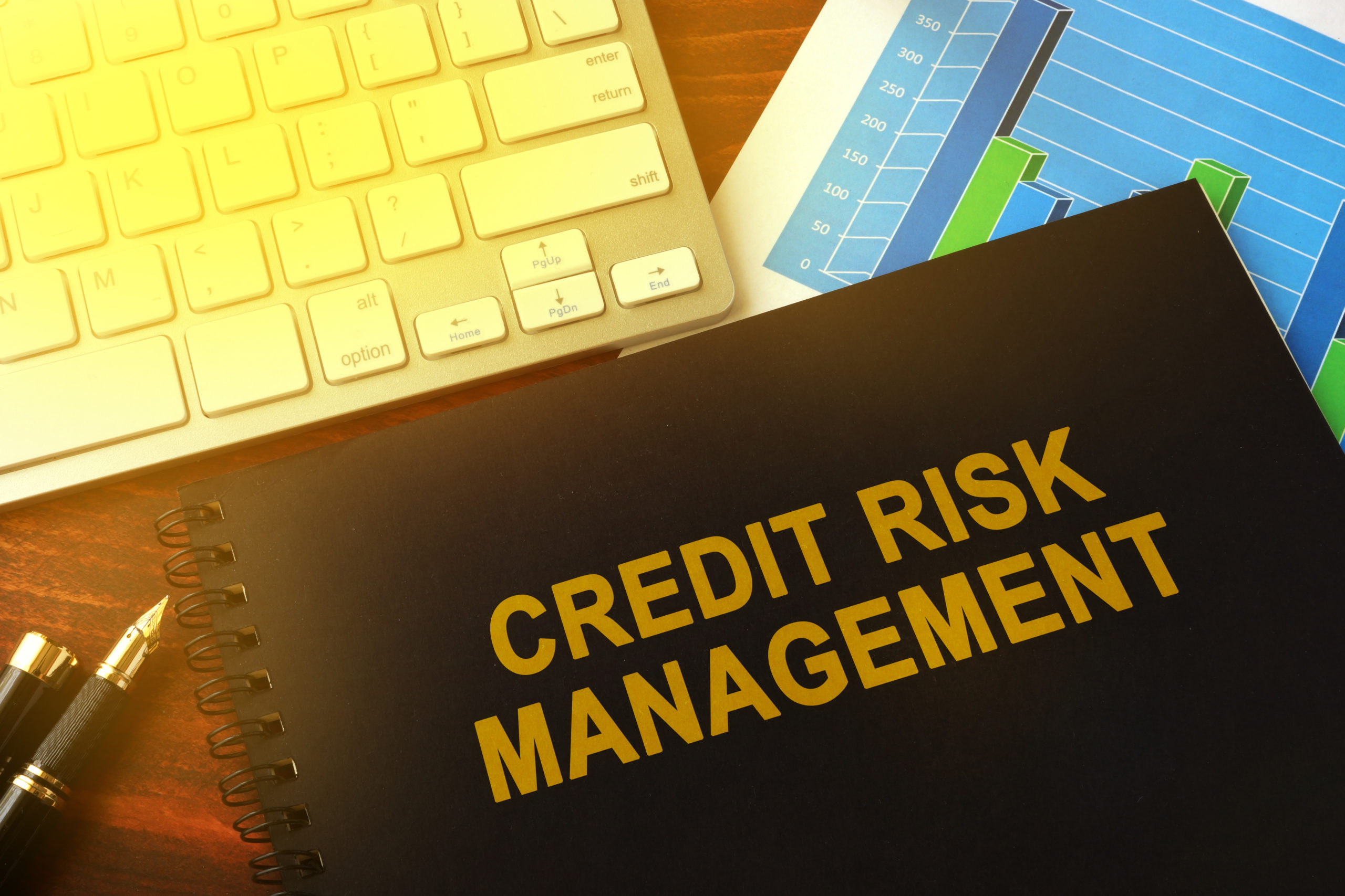 research on credit management